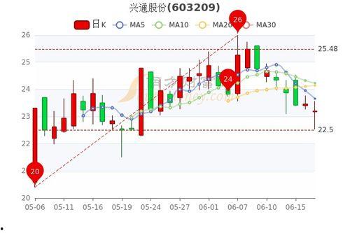 今日兰瓜价格行情查询最新,市场动态一览”