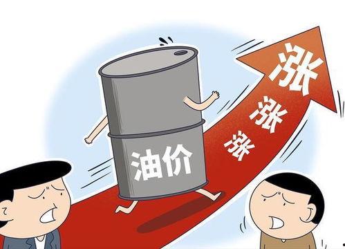 瓜州油价0号柴油今日价,价格波动解析