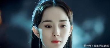 杨姓明星网红是谁,揭秘网络红人的魅力与影响力