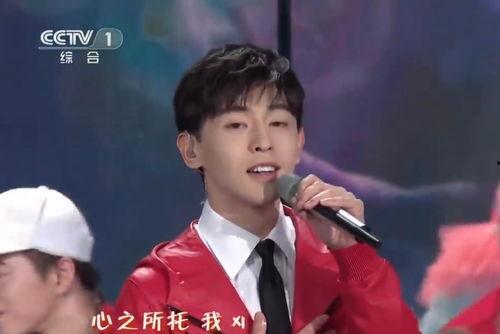 明星网红走亲戚视频播放,视频播放爆火，揭秘真实乡村生活
