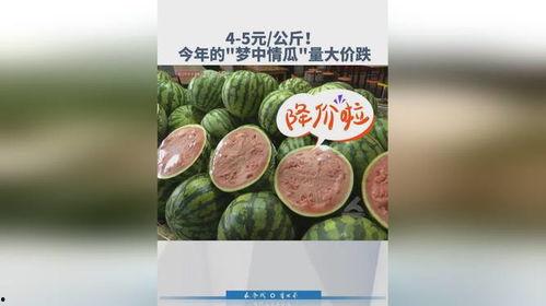 绍兴今日瓜价多少,新鲜上市，价格亲民！”