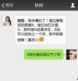明星网红h资源网址,热门话题背后的秘密