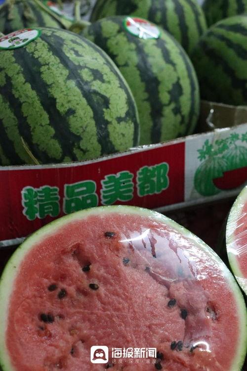 甜王瓜今日价格行情最新,今日行情一览