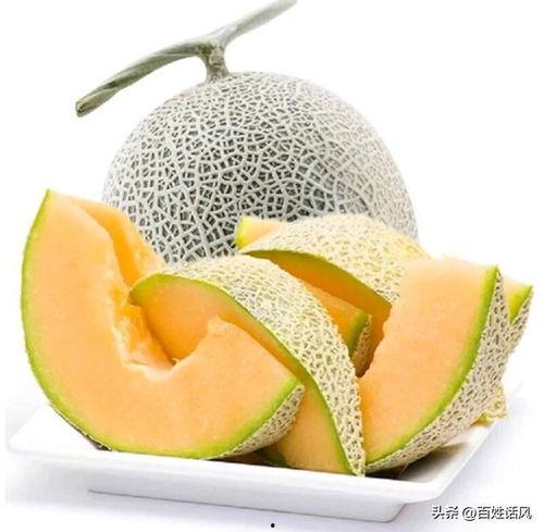 万邦哈密瓜批发市场今日价格表,价格行情一览