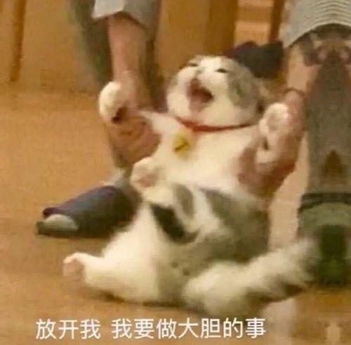 今日早起吃瓜,今日早起吃瓜大揭秘