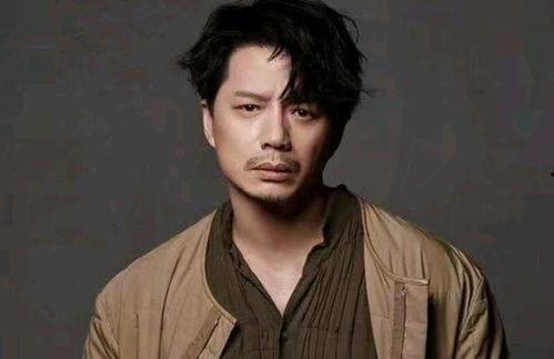 新疆明星网红男演员名单,星光熠熠，魅力无限