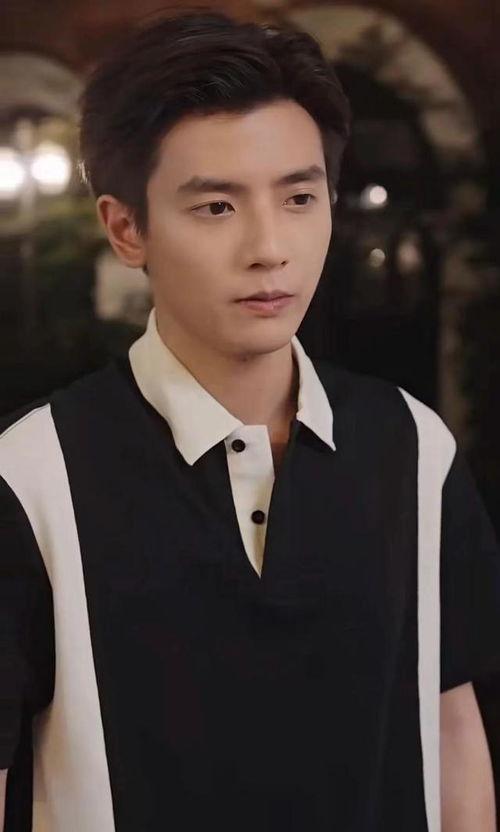 新疆明星网红男演员名单,星光熠熠，魅力无限