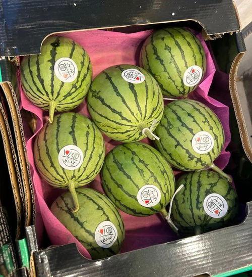 麒麟瓜今日最新价格,探秘夏日消暑佳品的新行情