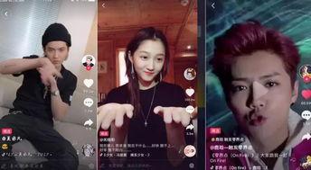 全国明星网红视频网站,揭秘全国明星网红视频网站的魅力与影响力