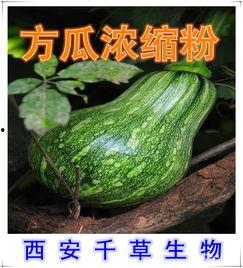方瓜今日价格,市场波动下的行情解析