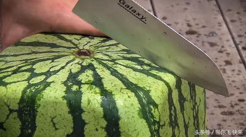 方瓜今日价格,市场波动下的行情解析