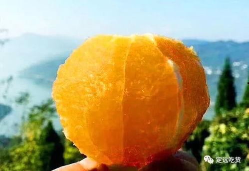 方瓜今日价格,市场波动下的行情解析