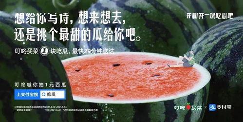 今日吃瓜文案句子,揭秘娱乐圈最新热点事件