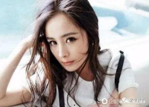 最恶心的明星网红排名,那些让人反感的明星网红排行揭秘