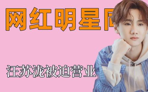 明星网红同台唱歌李玉刚,李玉刚与明星网红同台献声，音乐盛宴即将开启