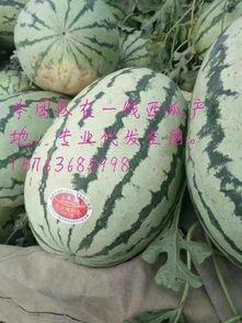 硒砂瓜价格今日价格,价格行情一览