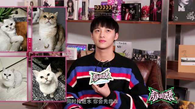 明星网红00后唱歌视频,青春旋律，燃动视听盛宴