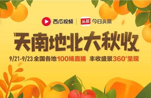 今日头条的瓜,娱乐圈最新重磅瓜料，真相令人震惊！