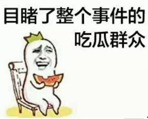 今日吃瓜专插本,揭秘插本那些事儿