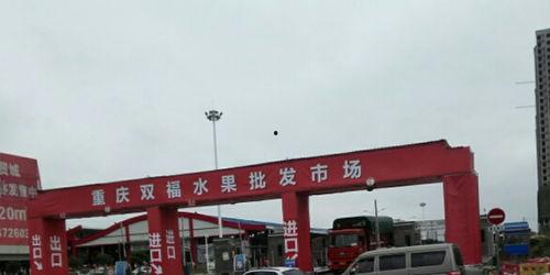 双福水果批发市场爆炸瓜今日价格,价格行情一览