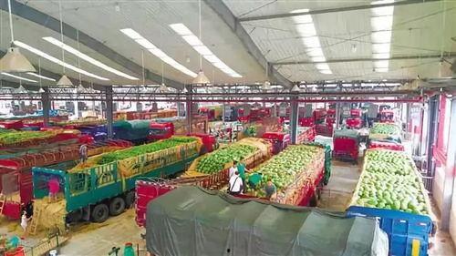 双福水果批发市场爆炸瓜今日价格,价格行情一览