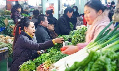 西宁今日的瓜,揭秘城市新鲜事