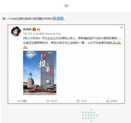 围观明星网红小说在线阅读,围观明星网红的璀璨人生