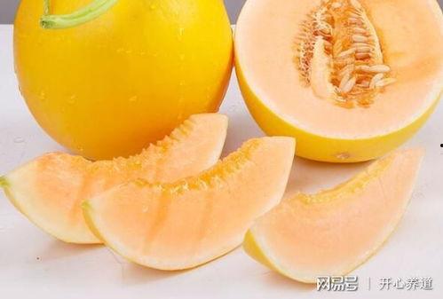 黄河蜜瓜今日价格表图片,品质之选，价格实况速览