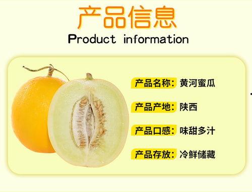黄河蜜瓜今日价格表图片,品质之选，价格实况速览