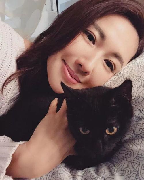 老猫明星网红视频合集,短视频中的璀璨星光