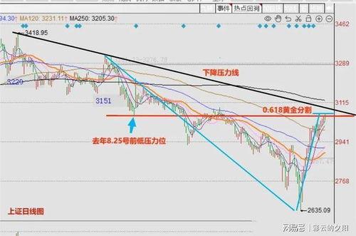 吊瓜今日行情走势最新,今日波动解析，趋势展望