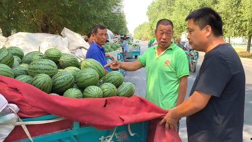 韩寺吊瓜价格今日报价查询,“今日韩寺吊瓜价格行情一览”