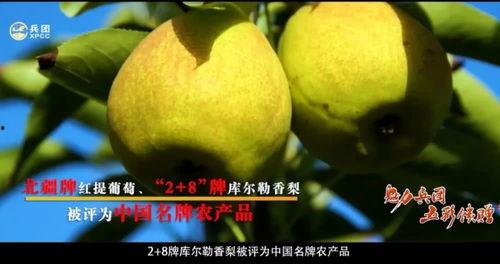 今日新疆最火的瓜,揭秘今日最火“瓜”背后的真相与影响