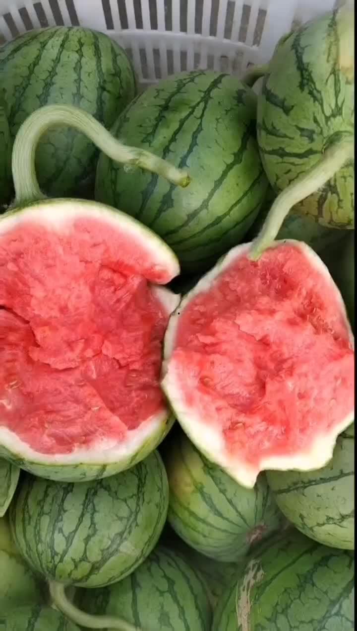 今日头瓜多少钱一斤,一斤多少钱？