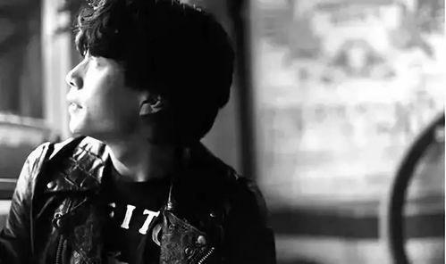 喜欢赵雷的明星网红,明星网红的共鸣之旅