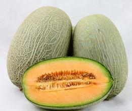 桃源今日哈密瓜价格多少,今日桃源哈密瓜价格行情揭晓