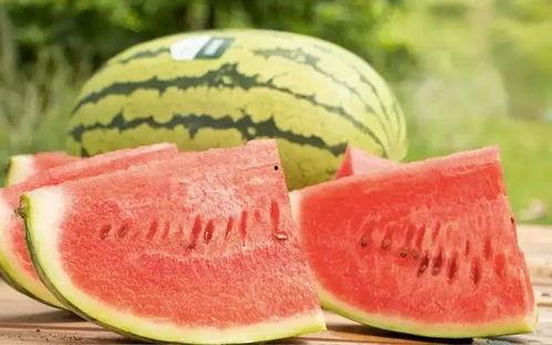 陕西沙漠瓜价今日价,沙漠绿洲里的新鲜诱惑