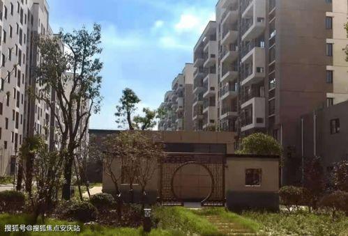 吊瓜今日行情走势最新视频,今日走势深度剖析