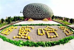 商丘310哈密瓜今日报价,价格行情一览