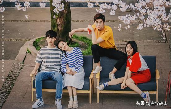 青春校园剧电视剧大全,青春岁月里的甜蜜回忆