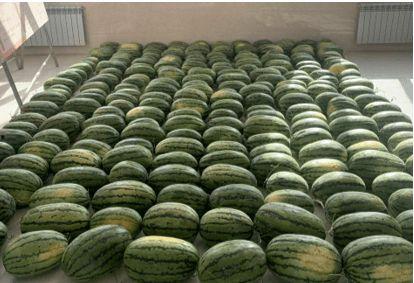 临海今日吃瓜新闻,真相竟如此惊人！