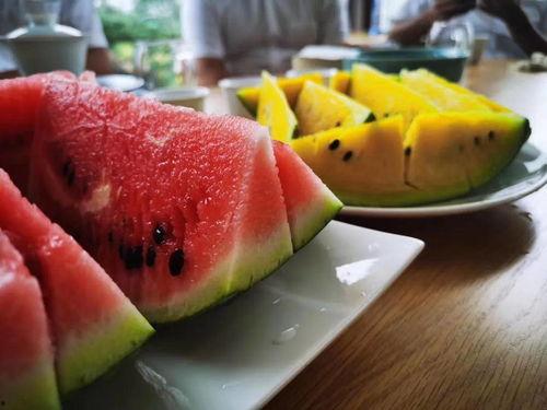 今日闲情种瓜得瓜,瓜果满园——今日闲情种瓜得瓜的奇妙体验