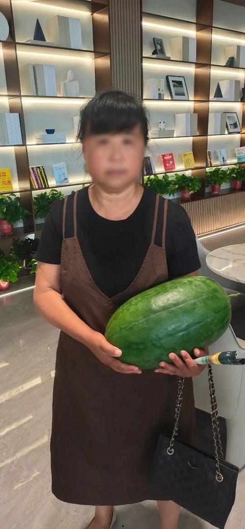 今日闲情种瓜得瓜,瓜果满园——今日闲情种瓜得瓜的奇妙体验