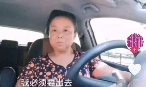 明星网红自驾游视频,跟随明星网红的脚步，畅游未知美景