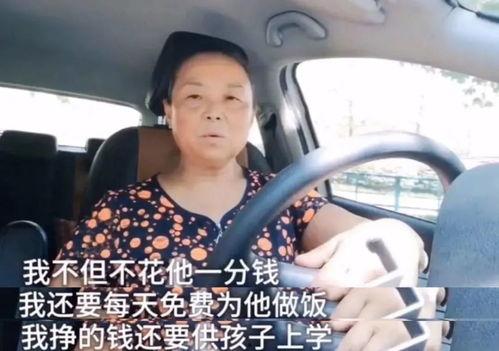 明星网红自驾游视频,跟随明星网红的脚步，畅游未知美景