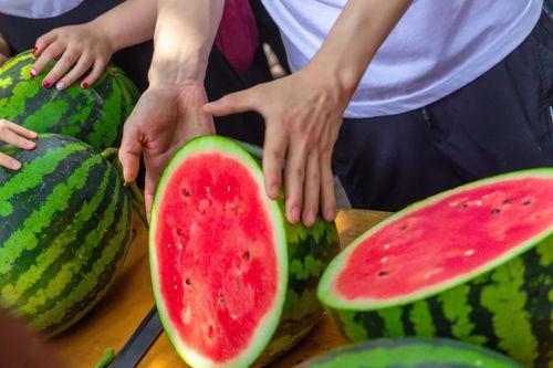 激战今日吃瓜,吃瓜群众围观娱乐圈风云变幻