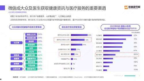 今日瓜价最新报道,最新市场动态解析