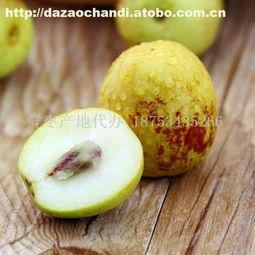 产地吊瓜今日价格,市场行情一览”