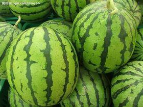 产地吊瓜今日价格,市场行情一览”