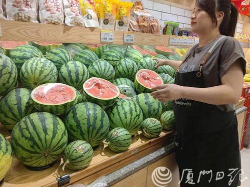 茂名茄瓜价格今日价,市场行情一览”